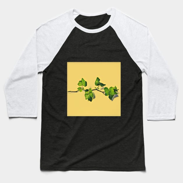 Hedera branch horizontal yellow Baseball T-Shirt by Volddy